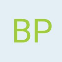 Avatar Britta Peddinghaus